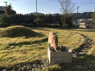 つよく、やさしく