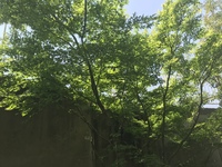しあわせなstayhome 2020/05/02 13:37:19