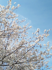 12th Anniversary 2023/04/05 16:16:07