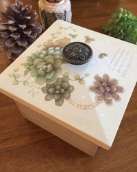 多肉植物の作品 2018/03/02 19:34:33