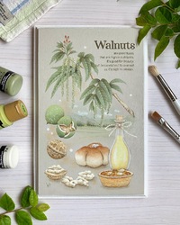 Walnuts 2022/05/11 09:47:36