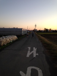 早朝トレーニング 2014/12/02 18:25:42