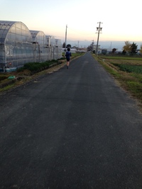 持久走大会 2015/12/07 06:59:31