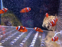 京都水族館