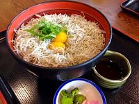 しらす丼 2015/05/03 10:00:00