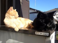 貴重なポカポカ陽気 2014/12/19 19:17:54