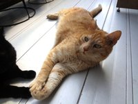 僕たちヒマ～！ 2015/05/22 19:06:57