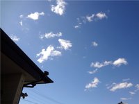 青空のもとで 2015/02/20 19:21:41