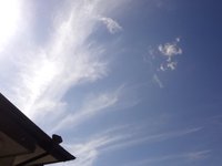 秋晴れが嬉しい！ 2014/10/16 19:31:58