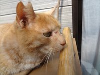 傷はオトコの勲章？ 2015/03/03 19:57:07
