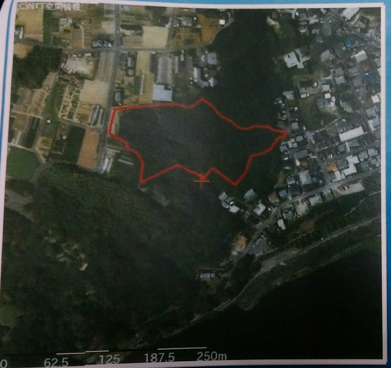 浜松市富塚地区の市民の森
