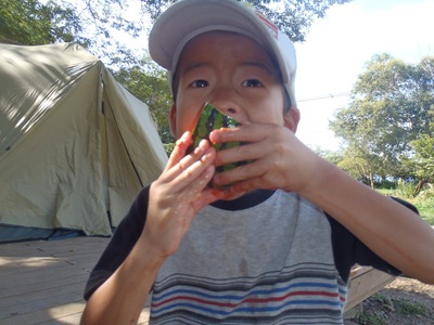 夏の思い出