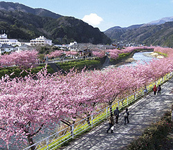 イベント案内