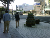 今朝は… 2011/05/15 06:51:04