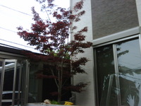 あら？ 2011/05/24 17:34:34