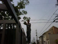 その後… 2011/05/17 12:04:01