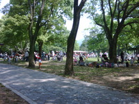 今日は… 2011/05/20 10:30:12
