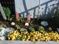今日は… 2011/03/10 08:33:33