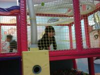 今日はオフ… 2011/03/22 12:52:56