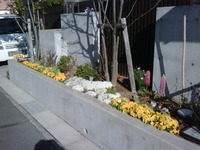 春ですなぁ～(^O^) 2011/03/26 08:33:08