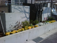 今日はオフ… 2011/03/29 09:14:09