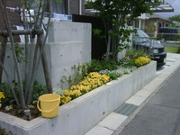 午後からは… 2011/05/31 16:09:38