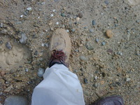 ようやっと･･･ 2011/06/03 09:17:33