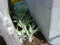 今日はオフ… 2011/04/19 09:21:46