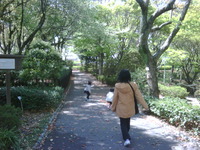午後から… 2011/04/19 13:33:11