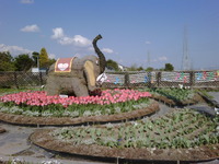 入野保育園さん… 2011/04/19 15:41:21