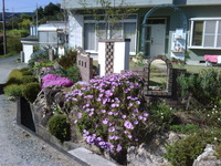 お宅拝見… 2011/04/20 16:43:56