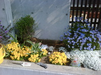 今日はオフ… 2011/04/26 10:24:54