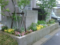 今日はオフ… 2011/06/21 09:27:50