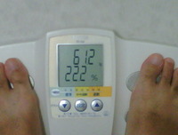 ダイエット生活… 2010/09/08 07:59:33