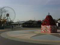 午後からは… 2010/12/06 13:02:16