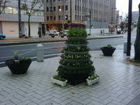 花の配達… 2010/12/14 07:32:38