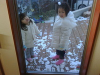 ゆ、ゆきが… 2011/01/17 08:48:41