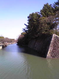 駿府城のお掘り！