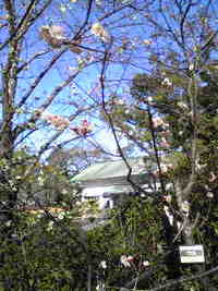 浅間神社にて