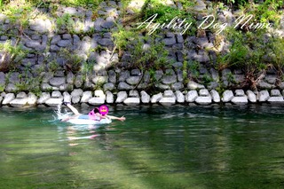 川遊びのつづき