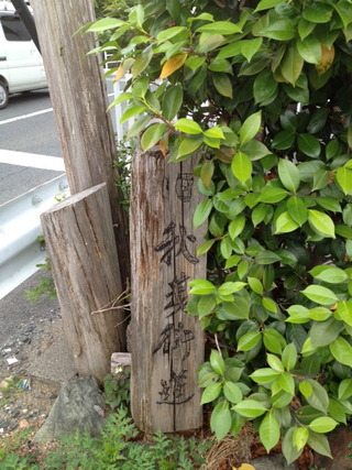 馬込川ウォ−ク