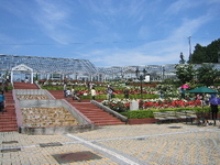 バラの丘公園 2006/05/29 00:09:37