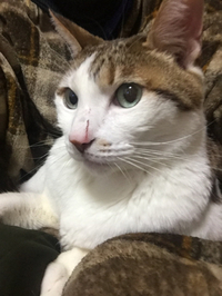 僕の好きな先生♪ 2019/12/20 17:04:36