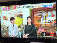 SBSテレビ「オレンジ」に出演させて頂きました！ 2020/02/24 15:07:22