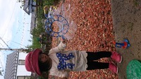 10月11日のぴよぴよ 2012/10/11 14:38:00