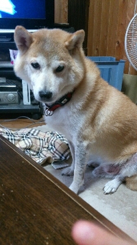 10月の活動 2013/10/20 14:53:35