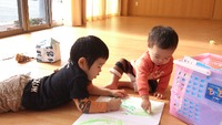 11月29日のぴよぴよ 2012/11/30 09:21:45