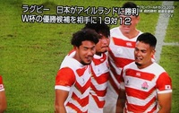 ラグビーW杯・日本、アイルランド破る