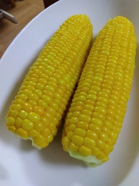 夏の味 2024/05/25 20:12:00