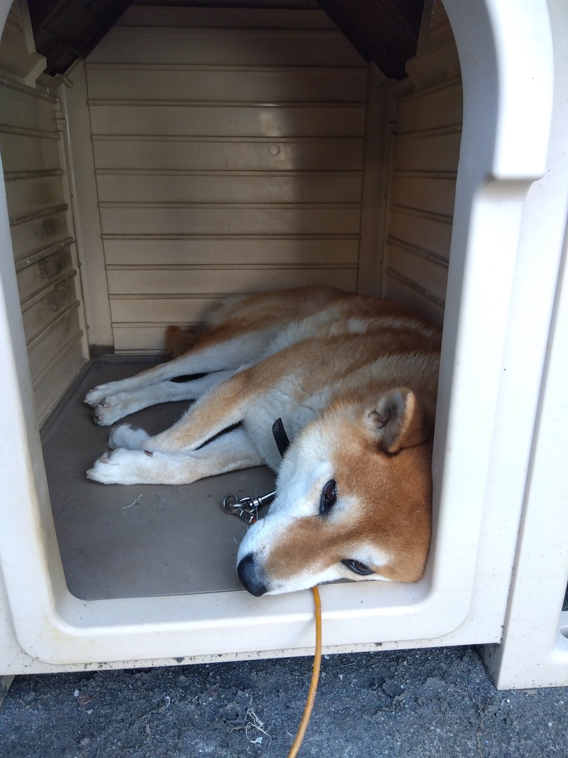 まったりモード